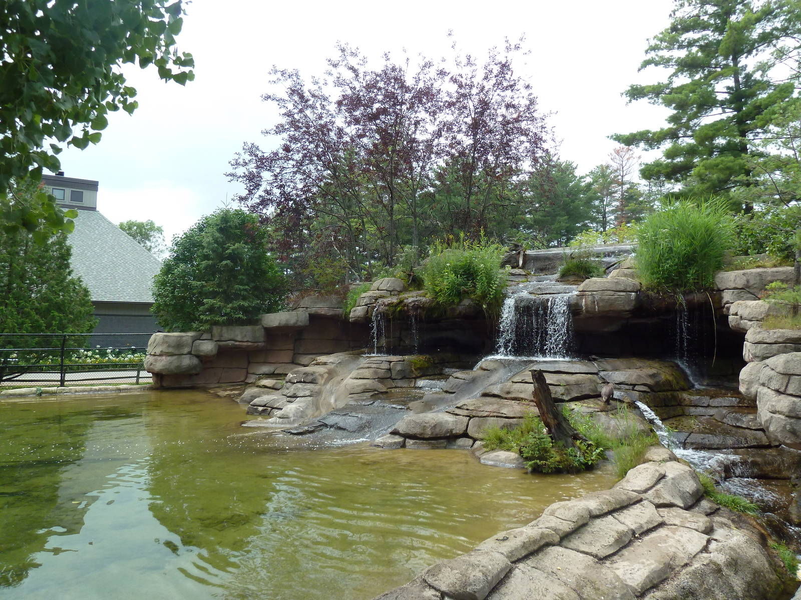 Wisconsin Trails - North American River Otter Exhibit