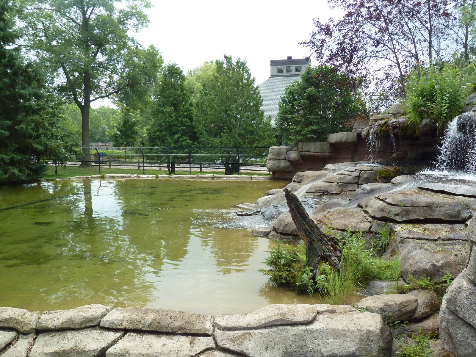 Wisconsin Trails - North American River Otter Exhibit