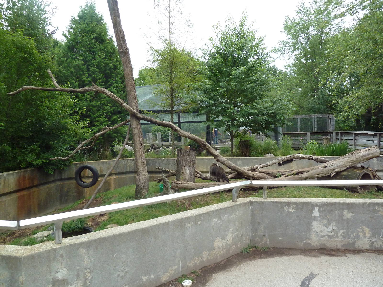 Wisconsin Trails - Raccoon Exhibit