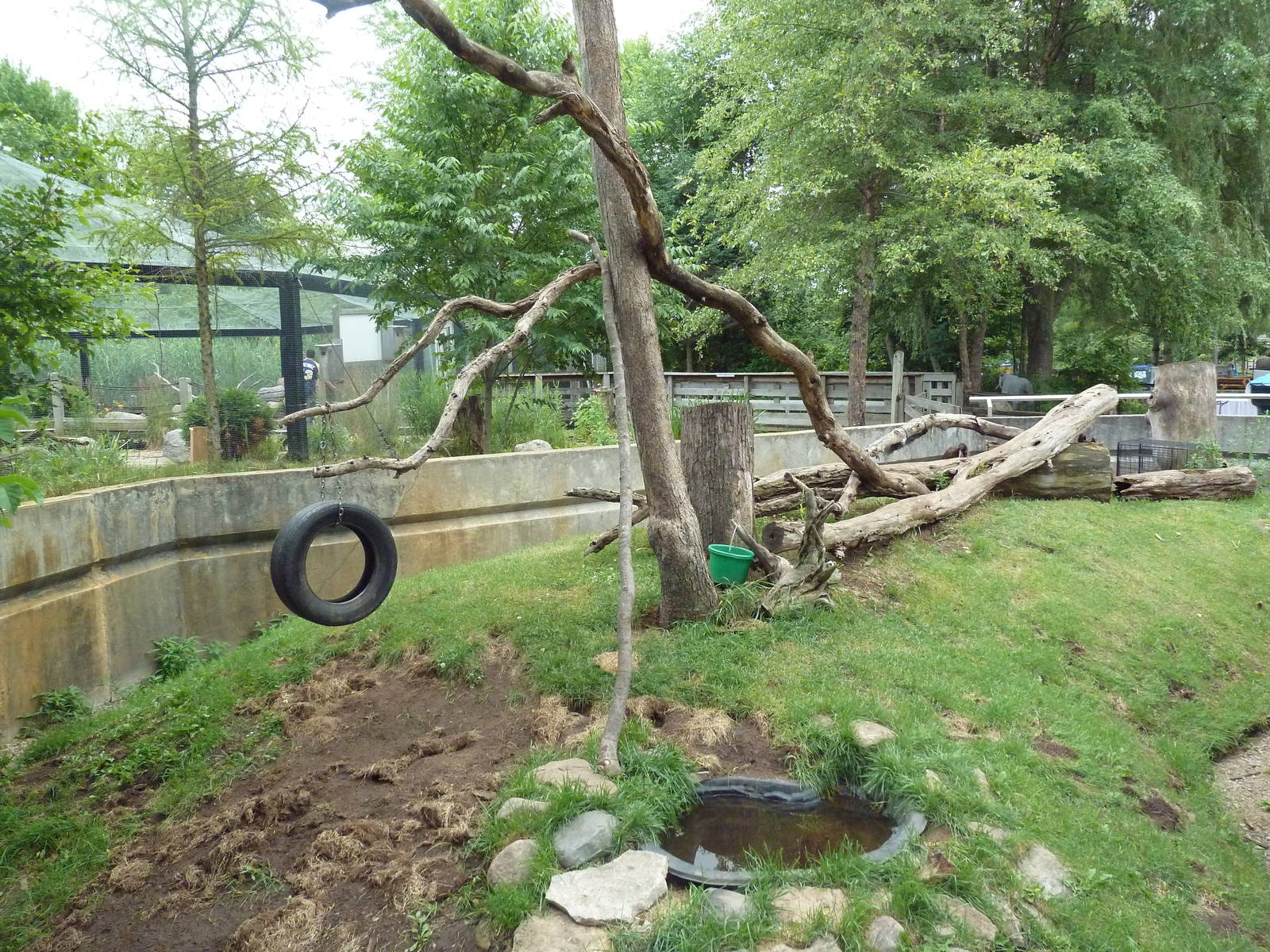 Wisconsin Trails - Raccoon Exhibit