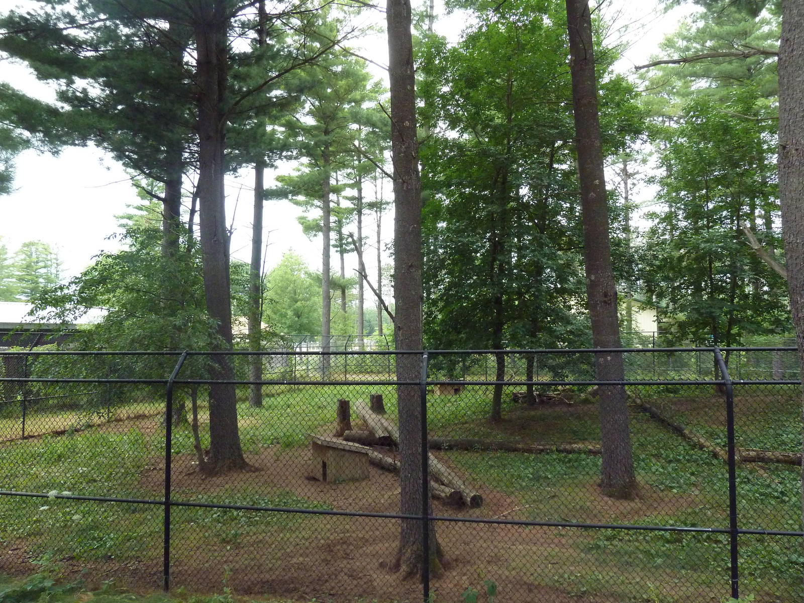 Wisconsin Trails - Red Wolf Exhibit