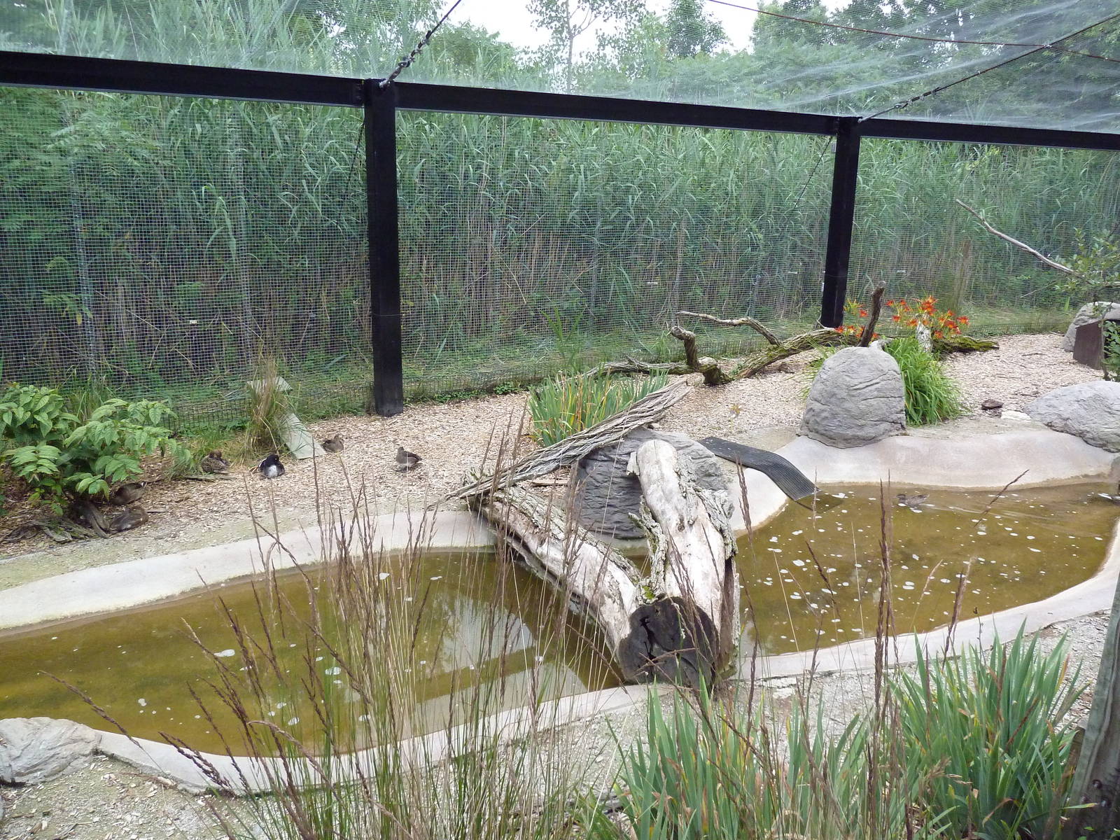 Wisconsin Trails - Walk-Through Aviary