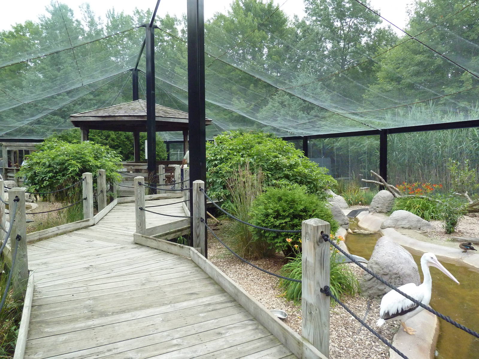 Wisconsin Trails - Walk-Through Aviary