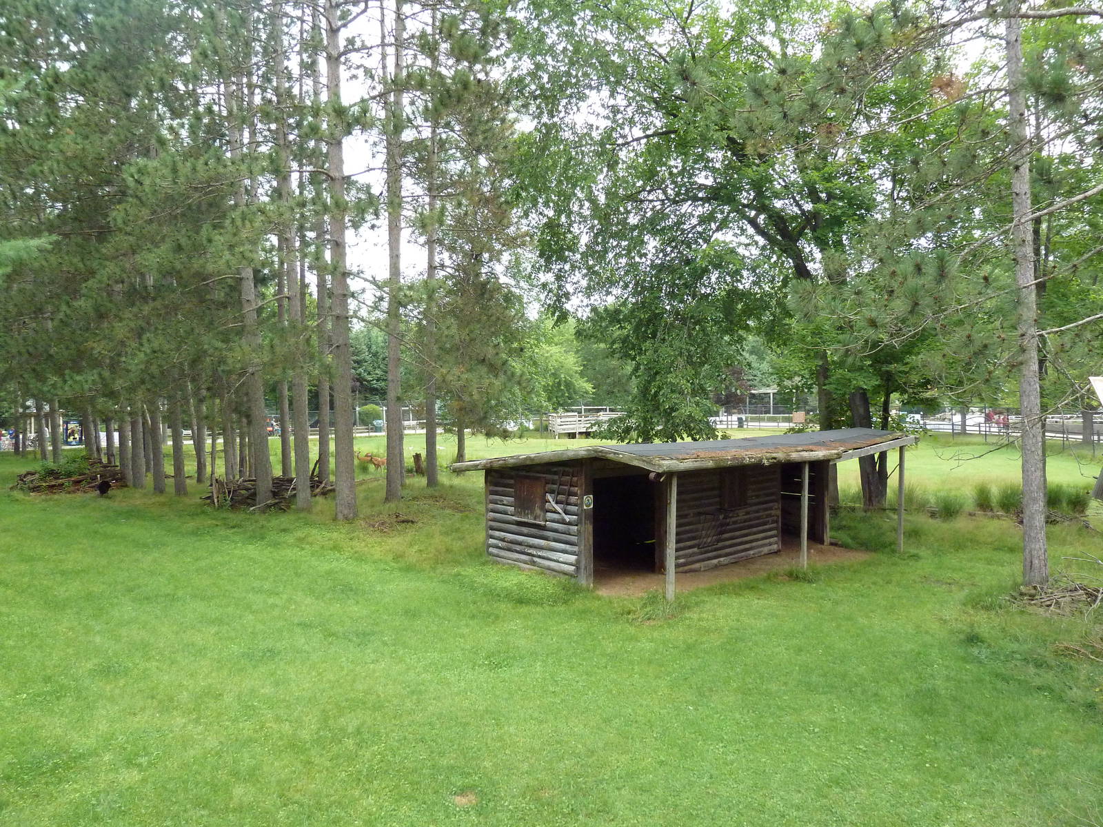 Wisconsin Trails - White-Tailed Deer/Wild Turkey Exhibit