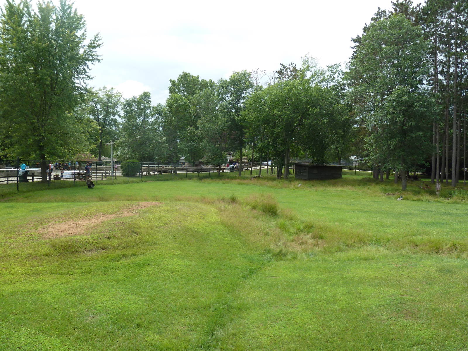 Wisconsin Trails - White-Tailed Deer/Wild Turkey Exhibit