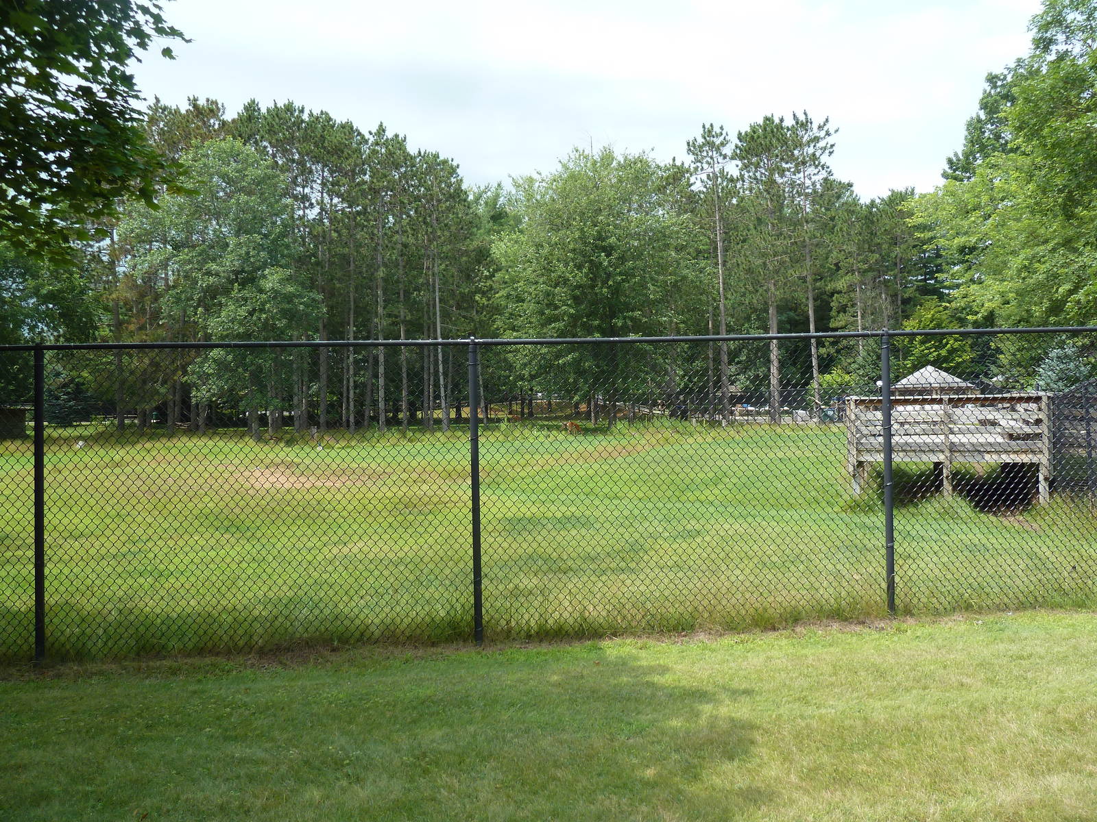 Wisconsin Trails - White-Tailed Deer/Wild Turkey Exhibit