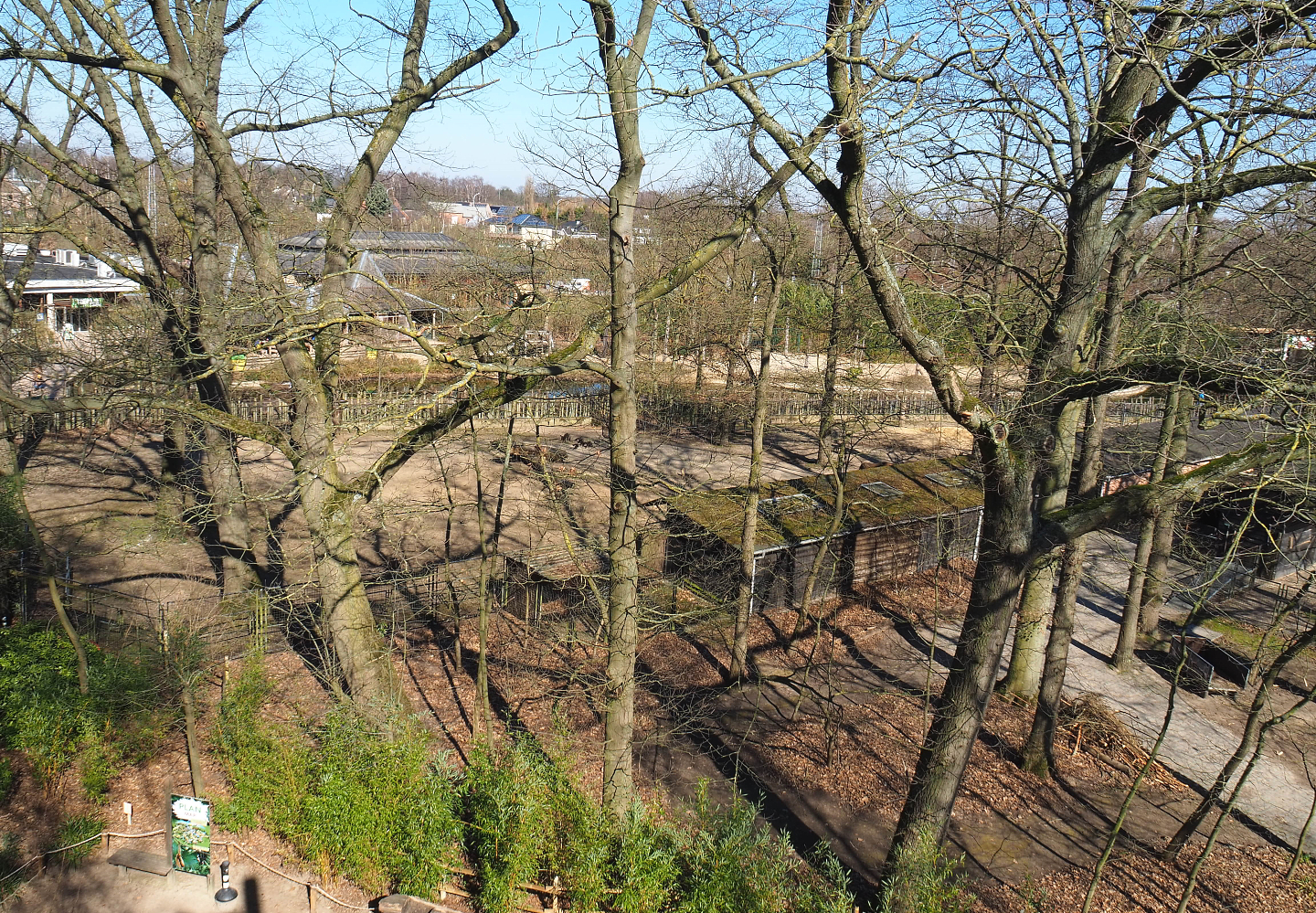 Wisent barn and paddock, seen from the tree-top walk, 2022-03-08