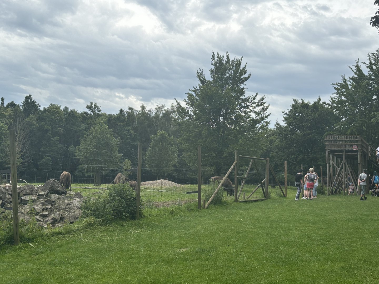 Wisent Enclosure at Wildpark Poing