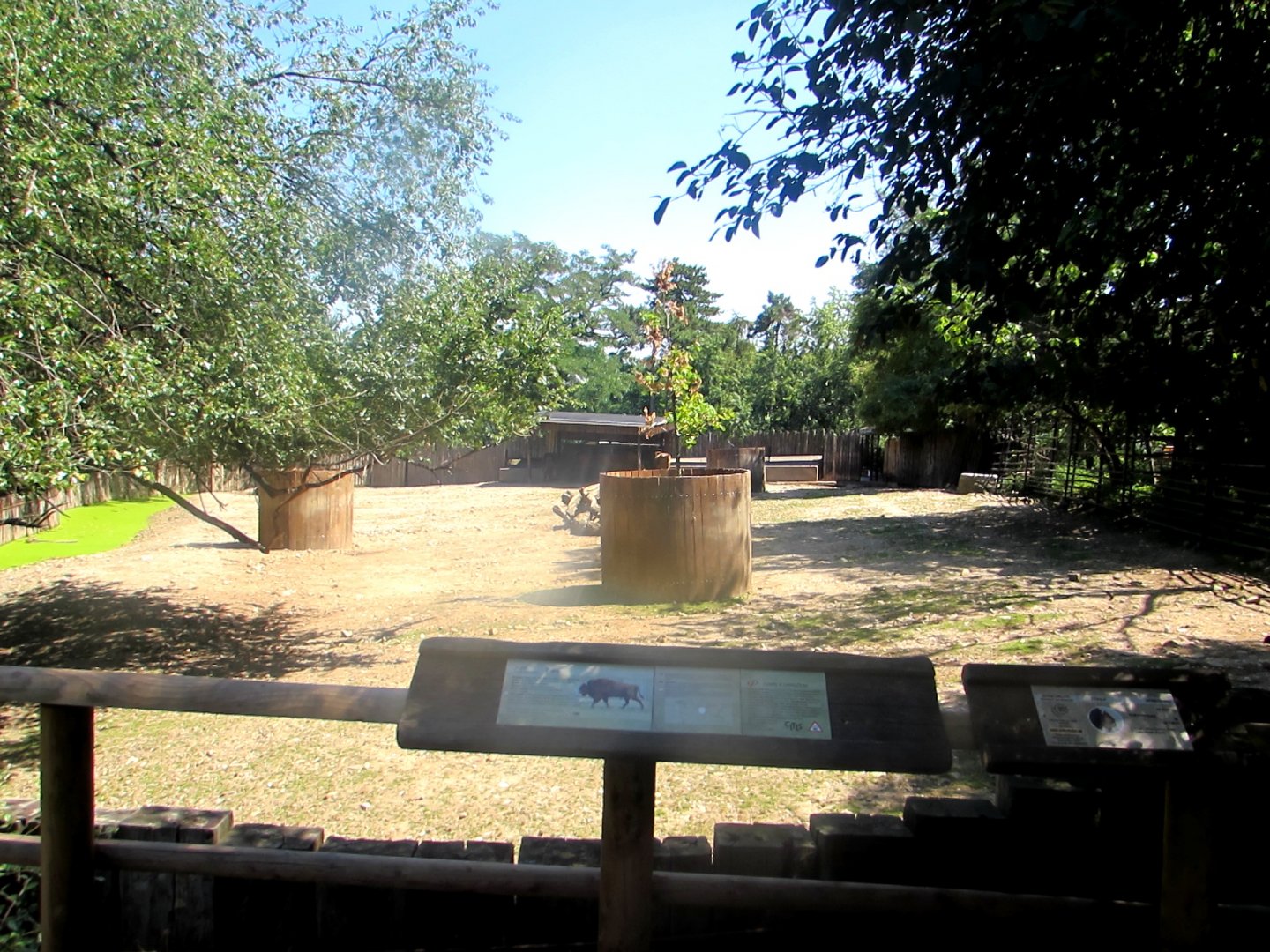 Wisent enclosure - July/2017