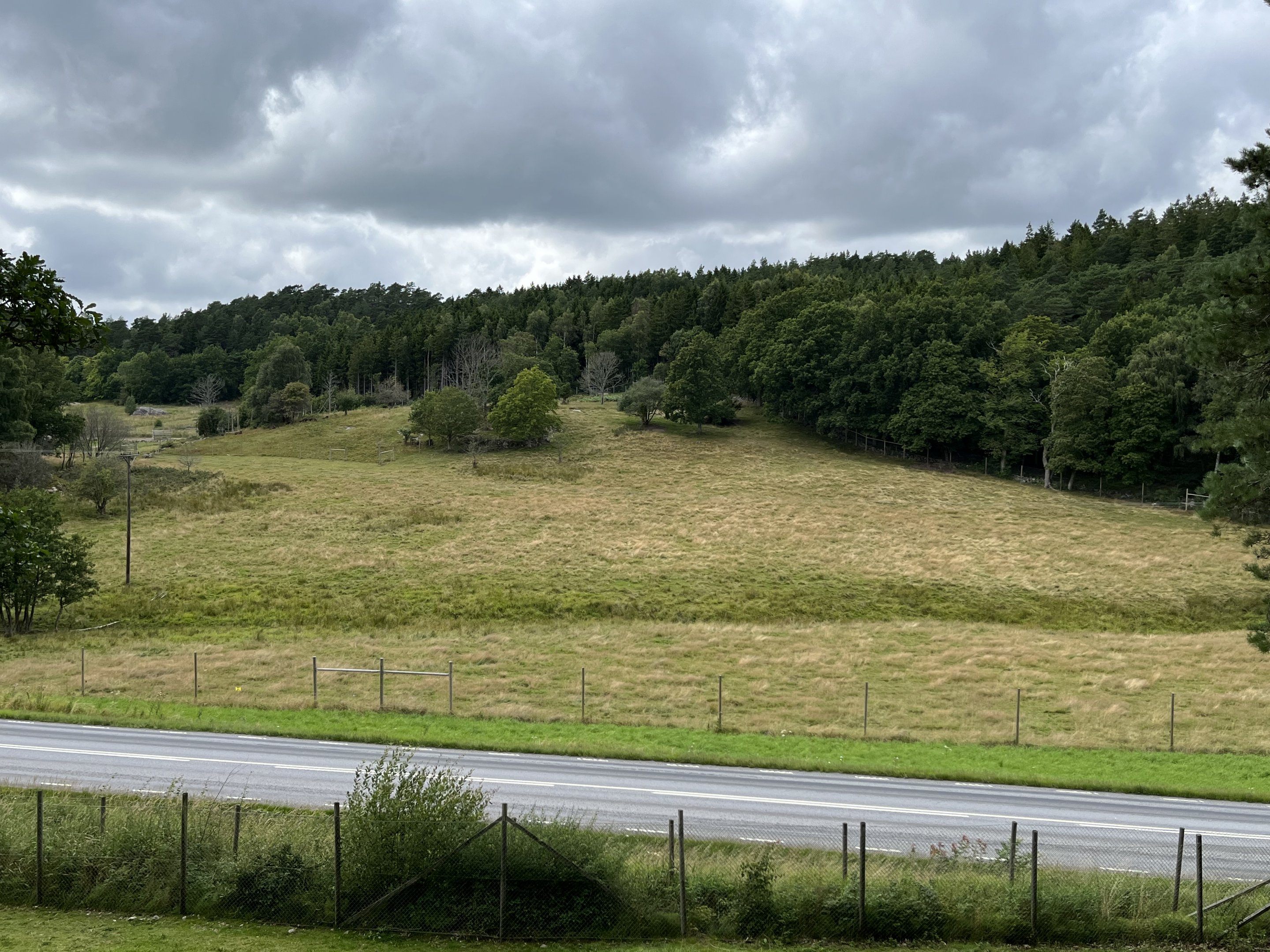 Wisent Exhibit - across road