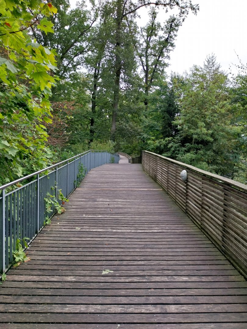 WisentenWald - Elevated walkway