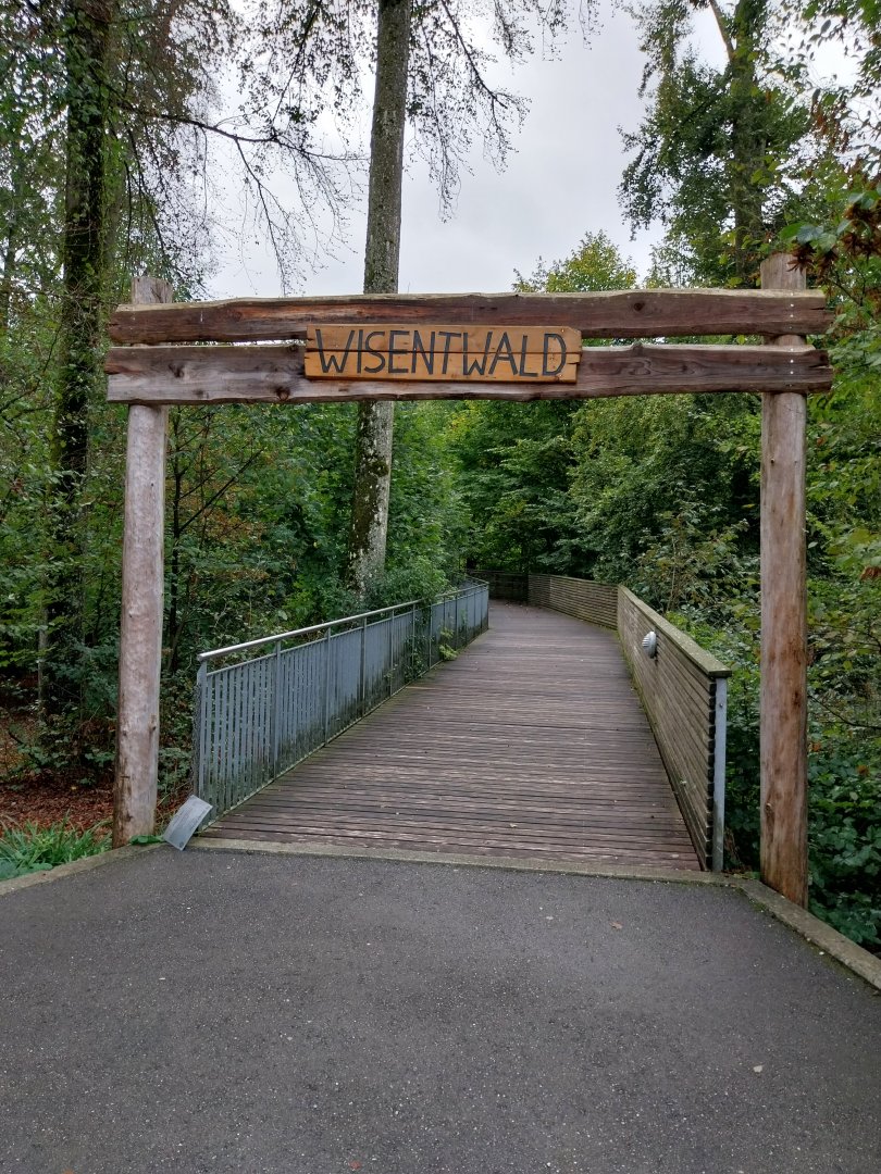 WisentenWald