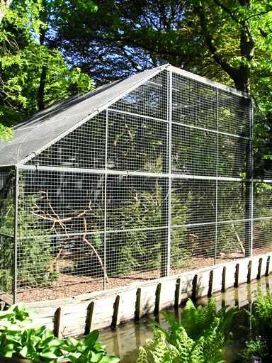 Wissel Zoo in Epe (NL) lemurs/treekangaroo