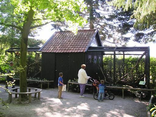Wissel Zoo in Epe (NL) Macaws