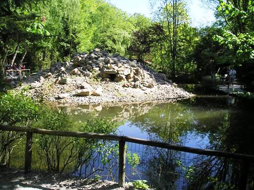 Wissel Zoo in Epe (NL) Penguins