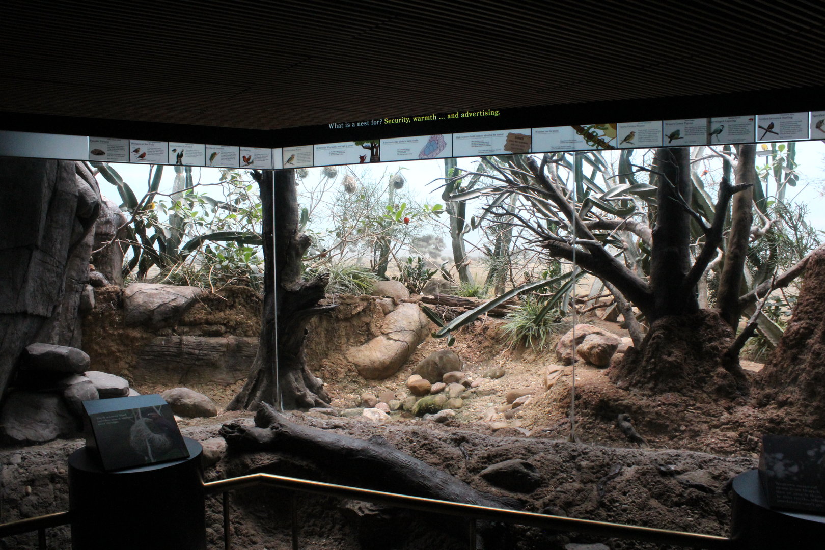 WOB 50th - African Scrubland Exhibit