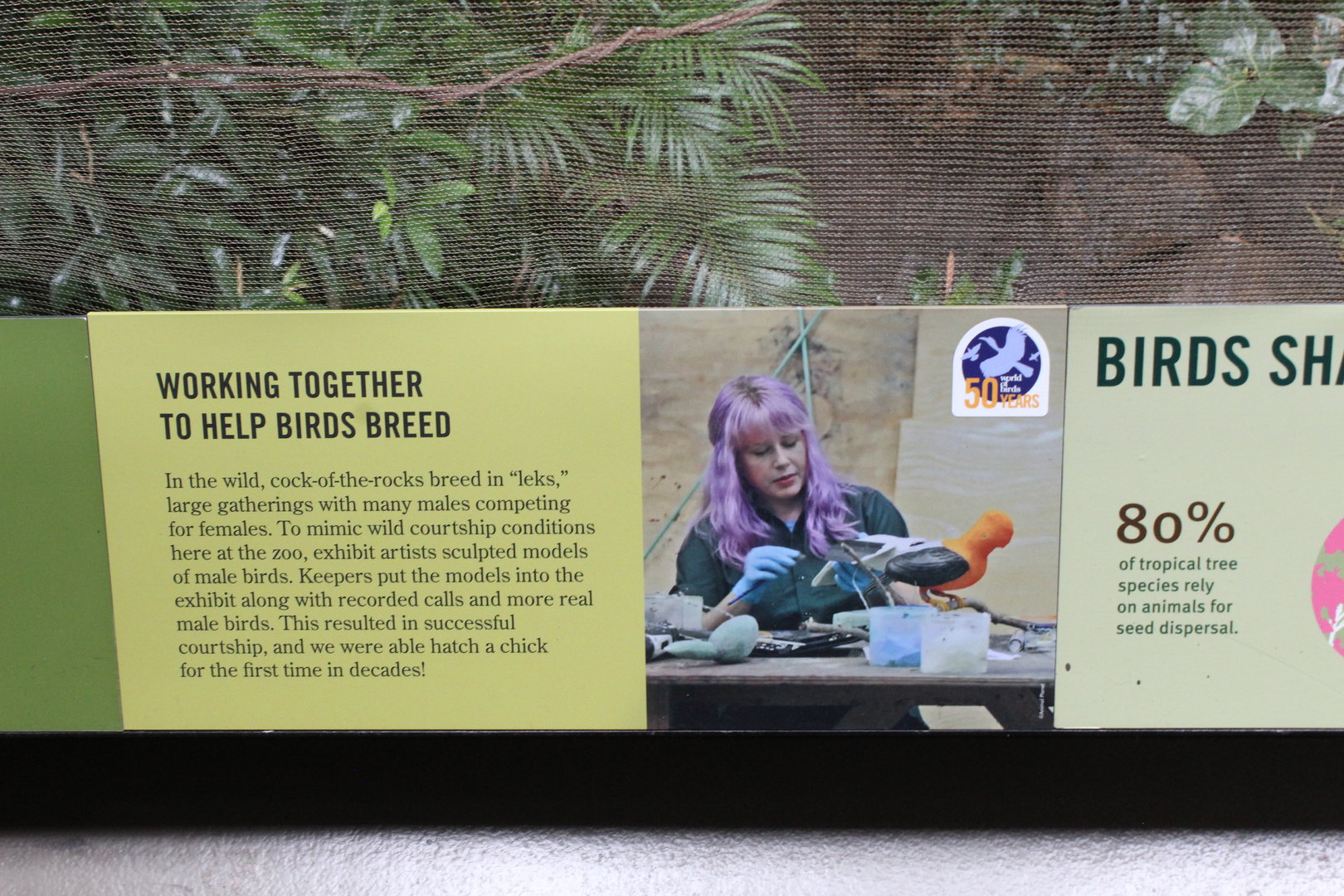 WOB 50th - Cock-of-the-Rock Breeding Signage
