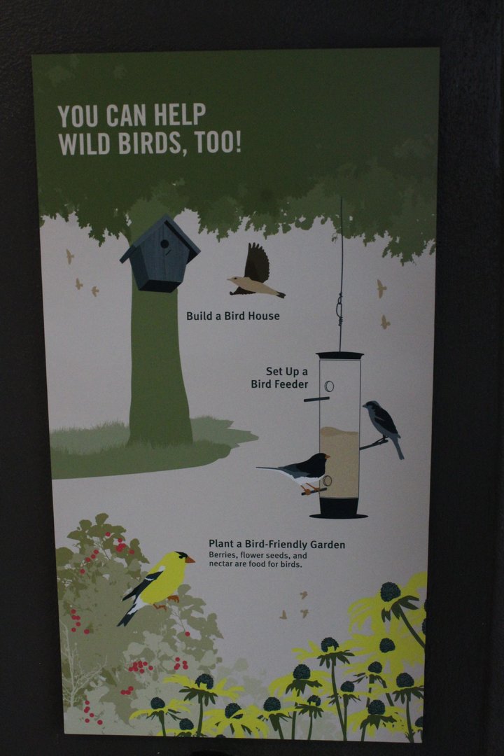 WOB 50th - Creating Artificial Habitats for Birds