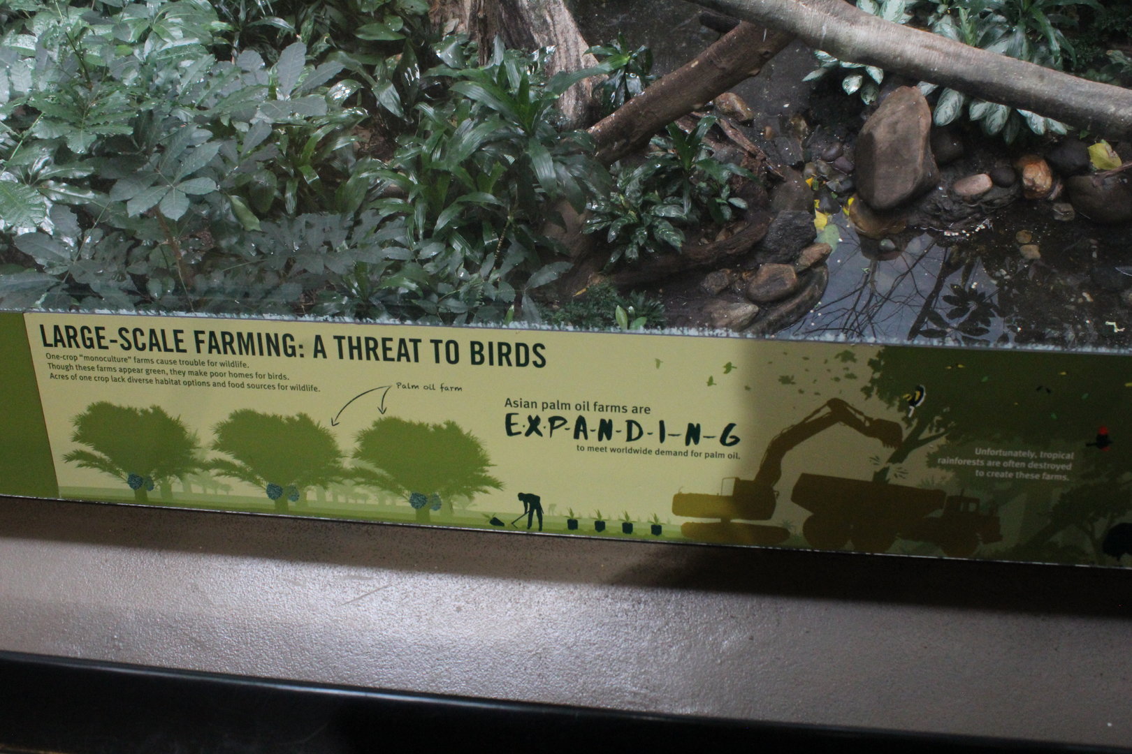 WOB 50th - Deforestation Signage