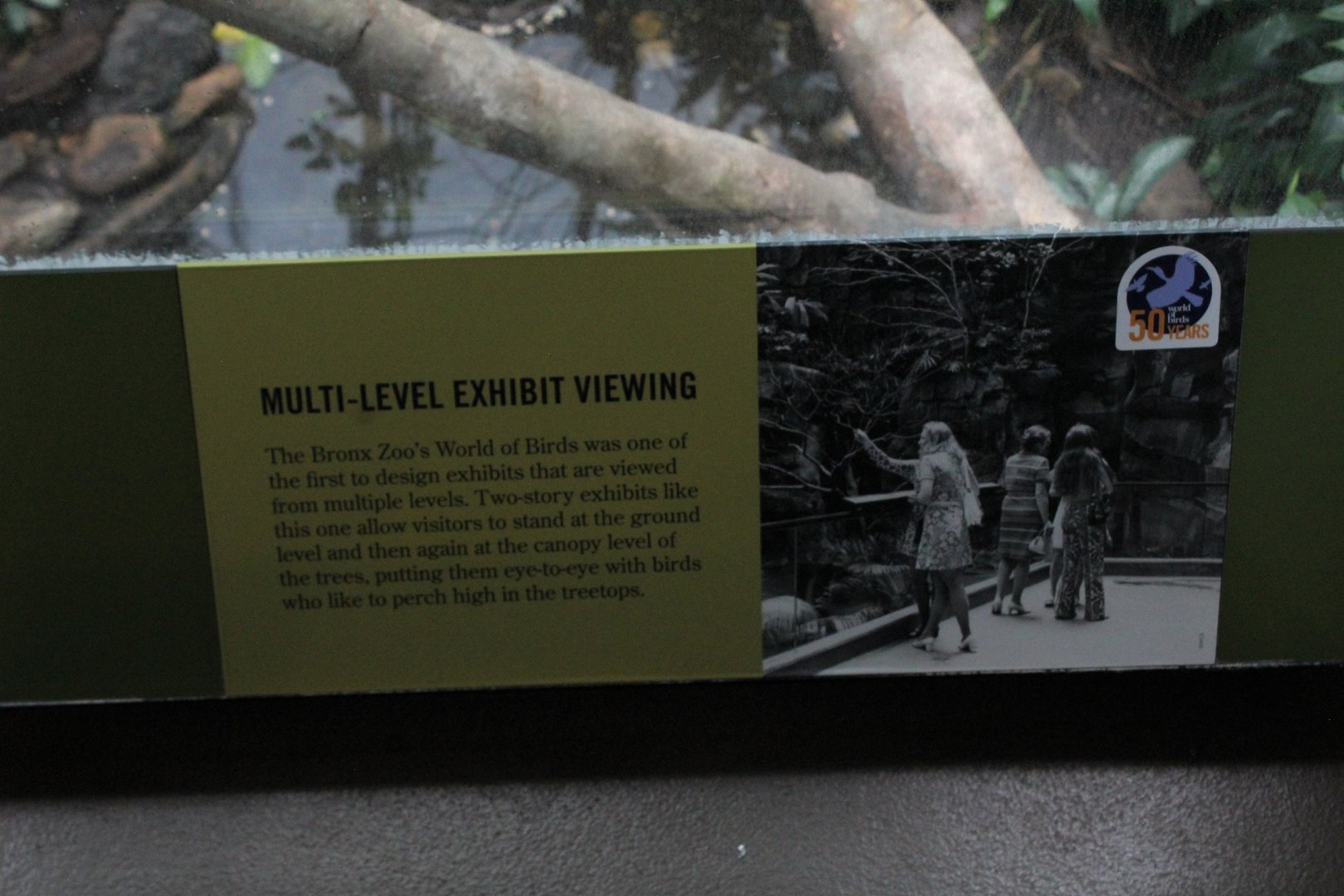 WOB 50th - Designing Multi-Level Viewing