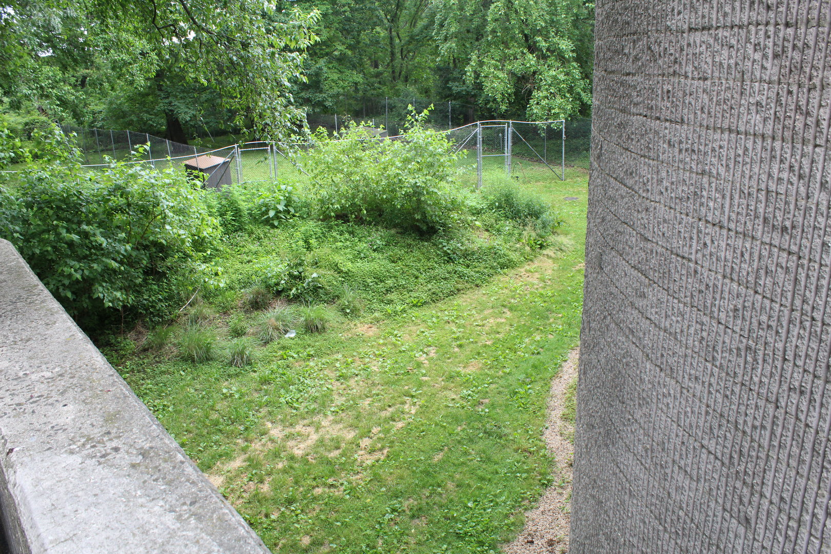 WOB 50th - Emu Yard Part 1