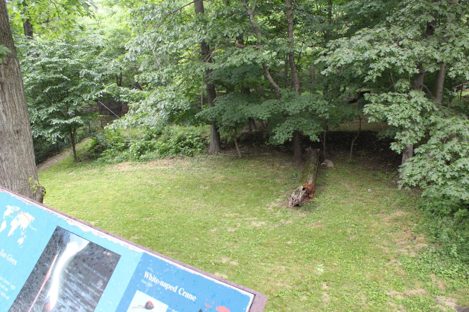 WOB 50th - Emu Yard Part 2