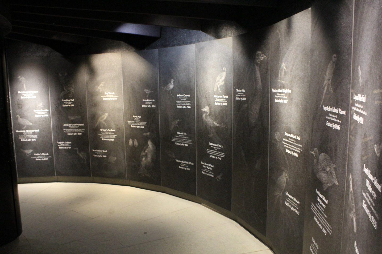 WOB 50th - Extinct Bird Memorial Part 1