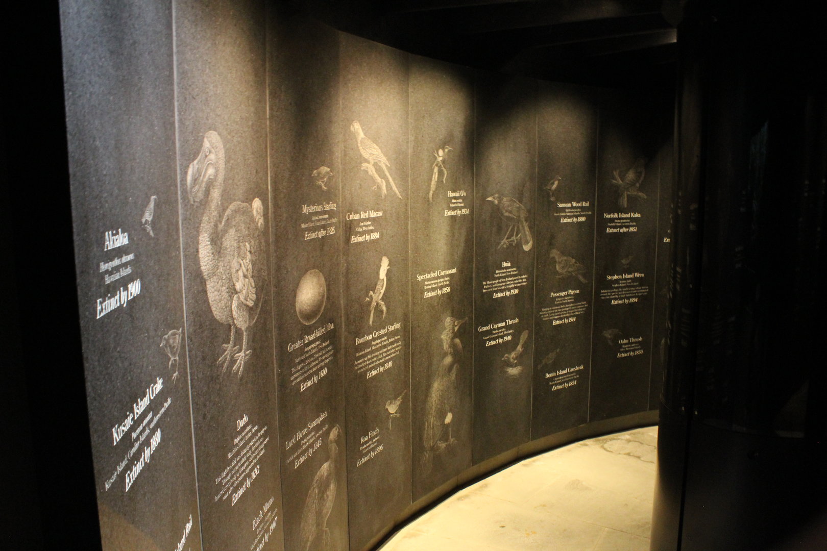 WOB 50th - Extinct Bird Memorial Part 2