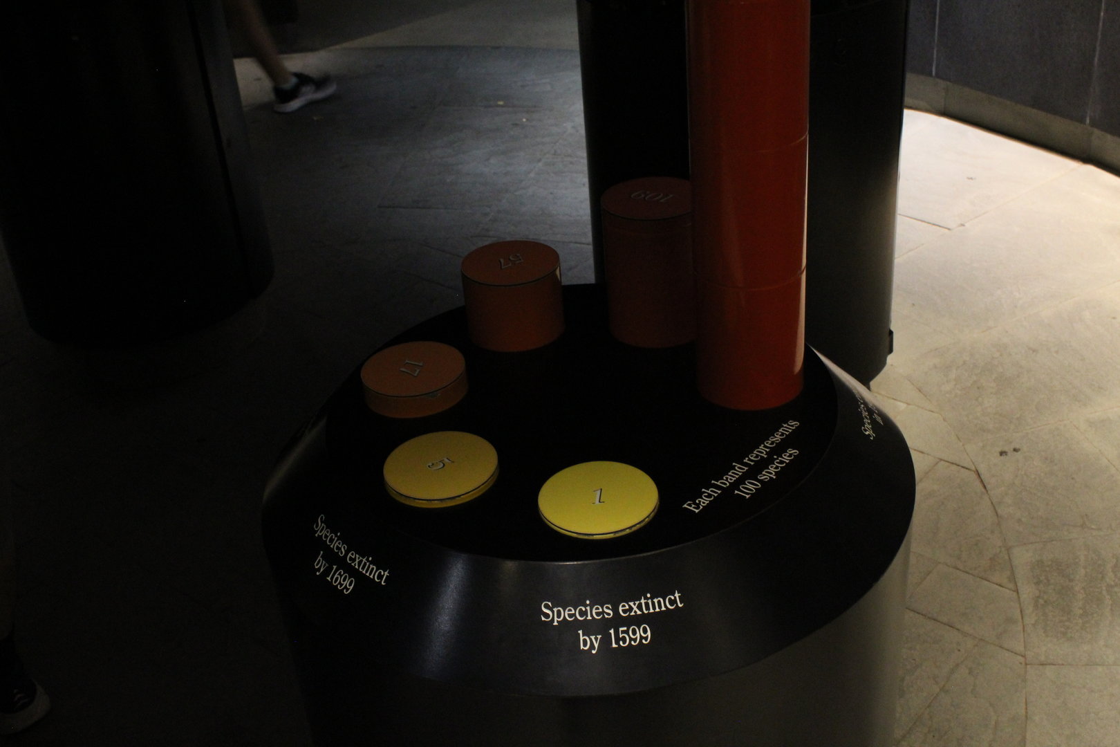 WOB 50th - Extinct/Endangered Birds Display