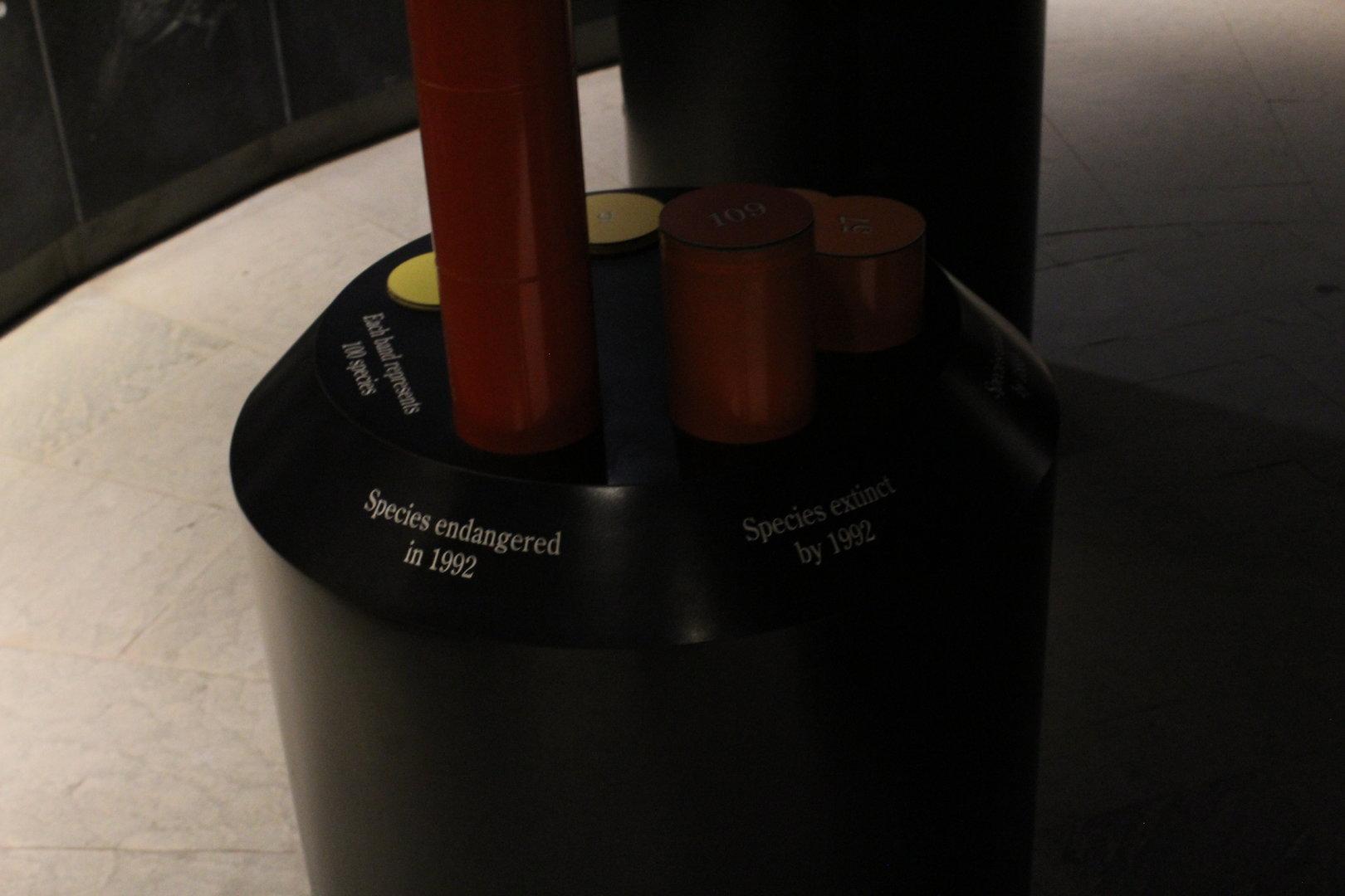 WOB 50th - Extinct/Endangered Birds Display