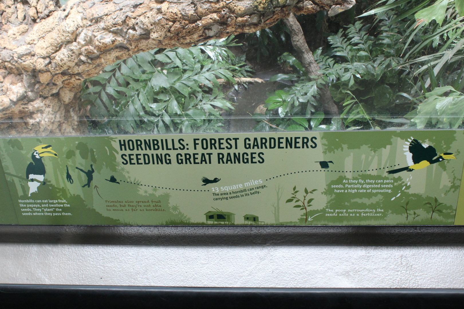 WOB 50th - Hornbill Seed Spreading Signage