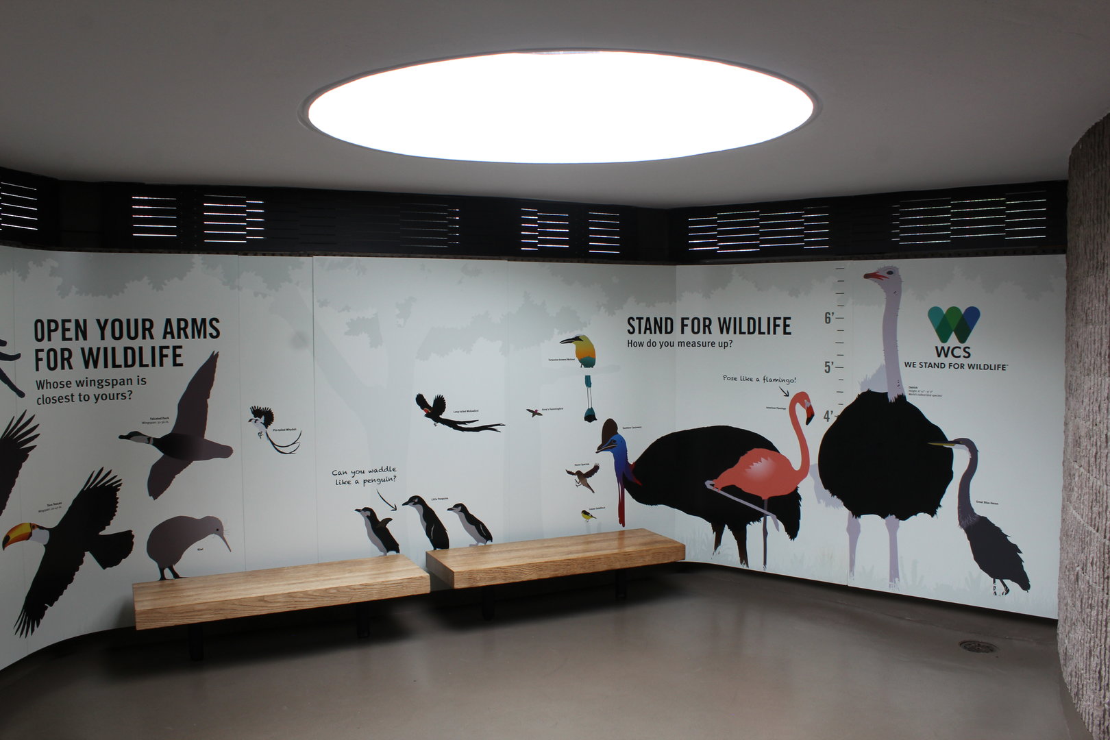 WOB 50th - How Do You Measure Up?