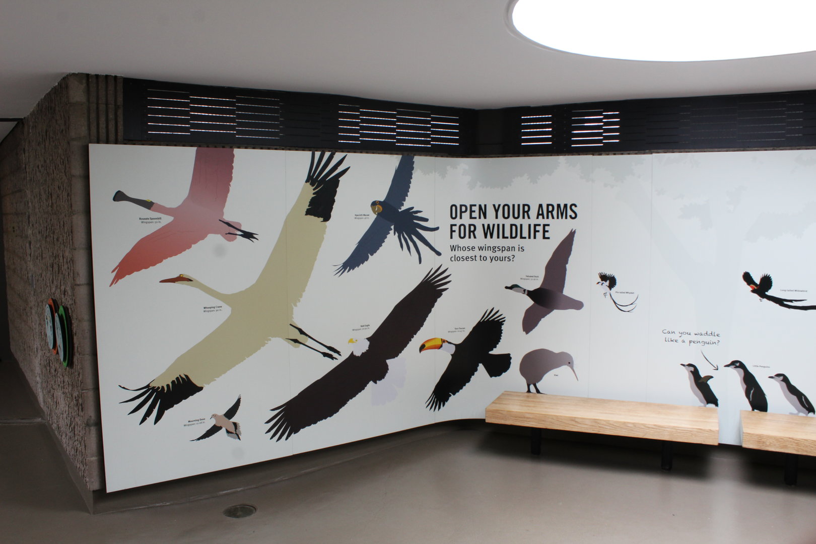 WOB 50th - How Do You Measure Up?