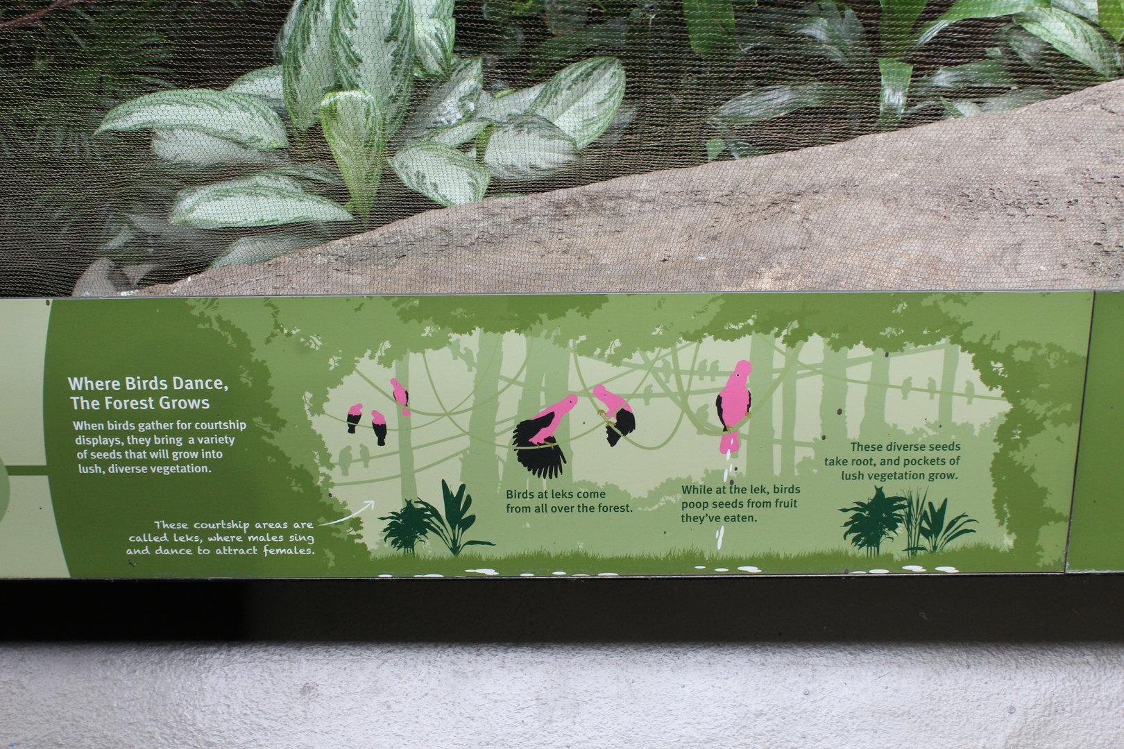 WOB 50th - Seed Spreading Signage