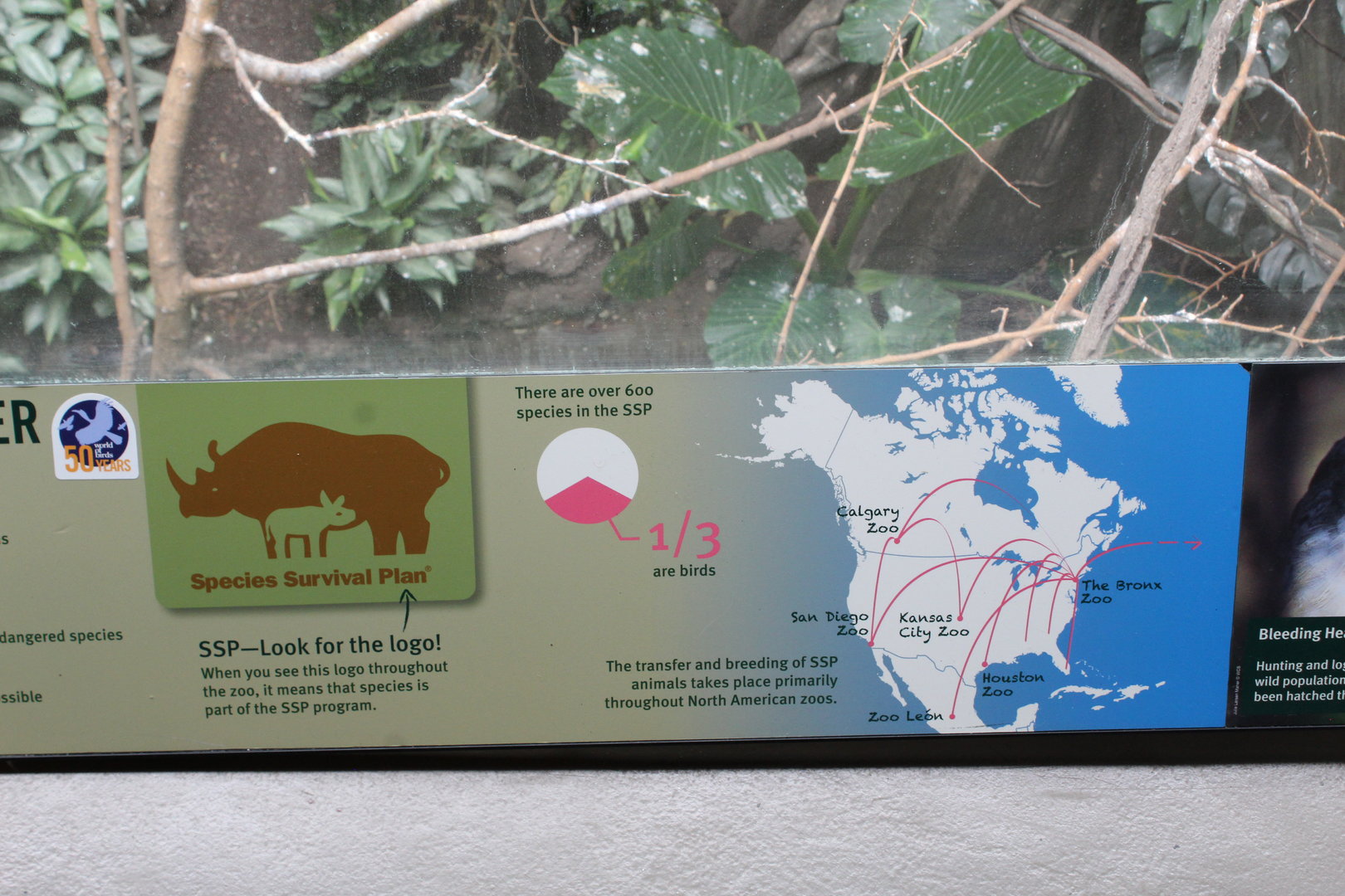 WOB 50th - Species Survival Plan Signage Part 2