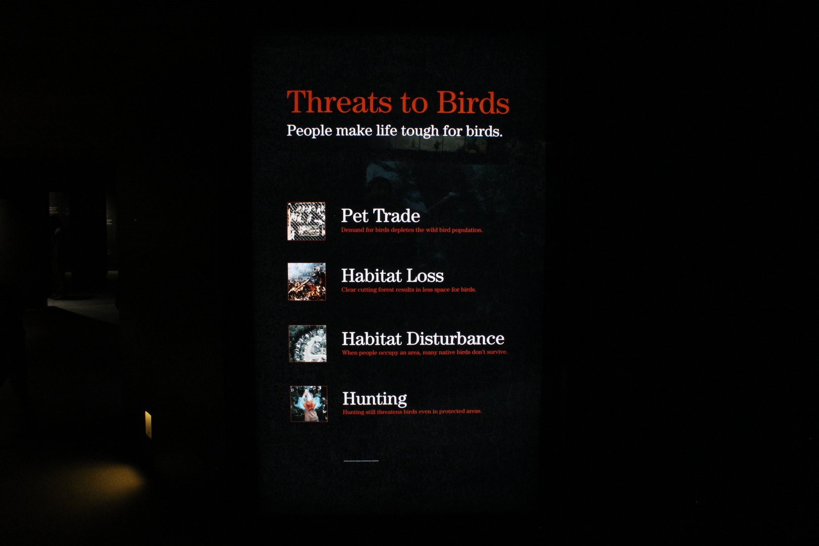 WOB 50th - Threats to Birds Signage