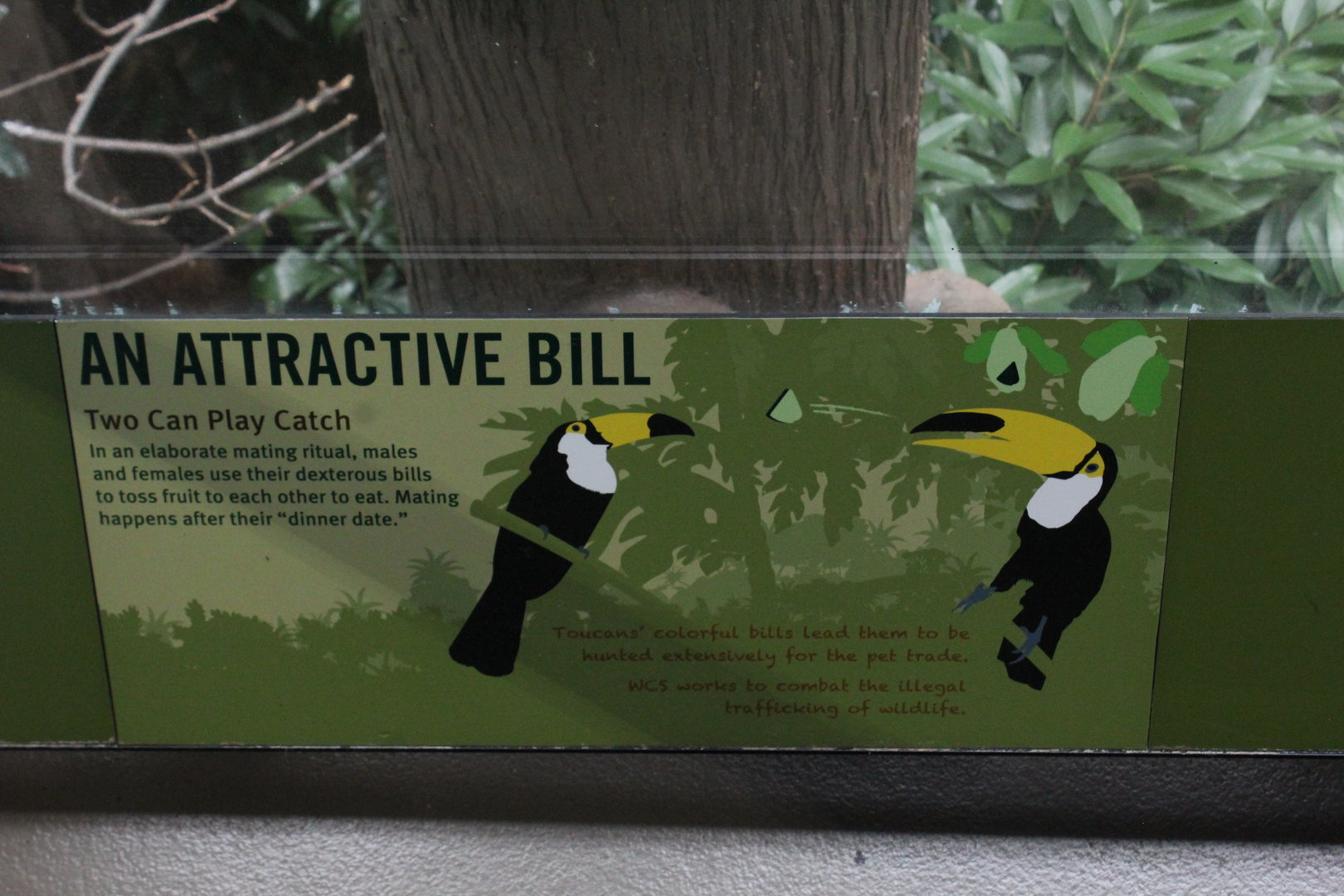 WOB 50th - Toucan Bill Signage