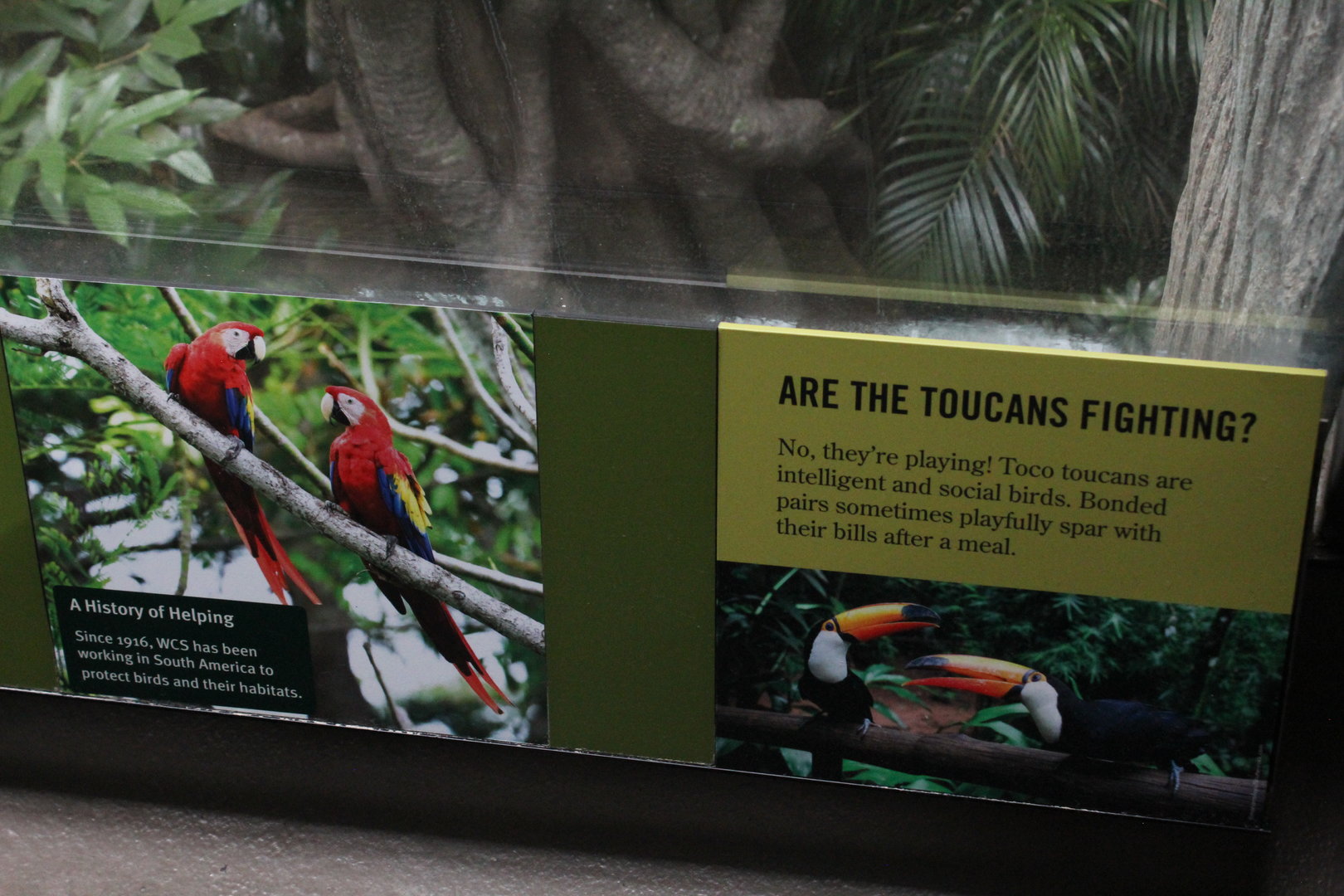 WOB 50th - Toucan Signage
