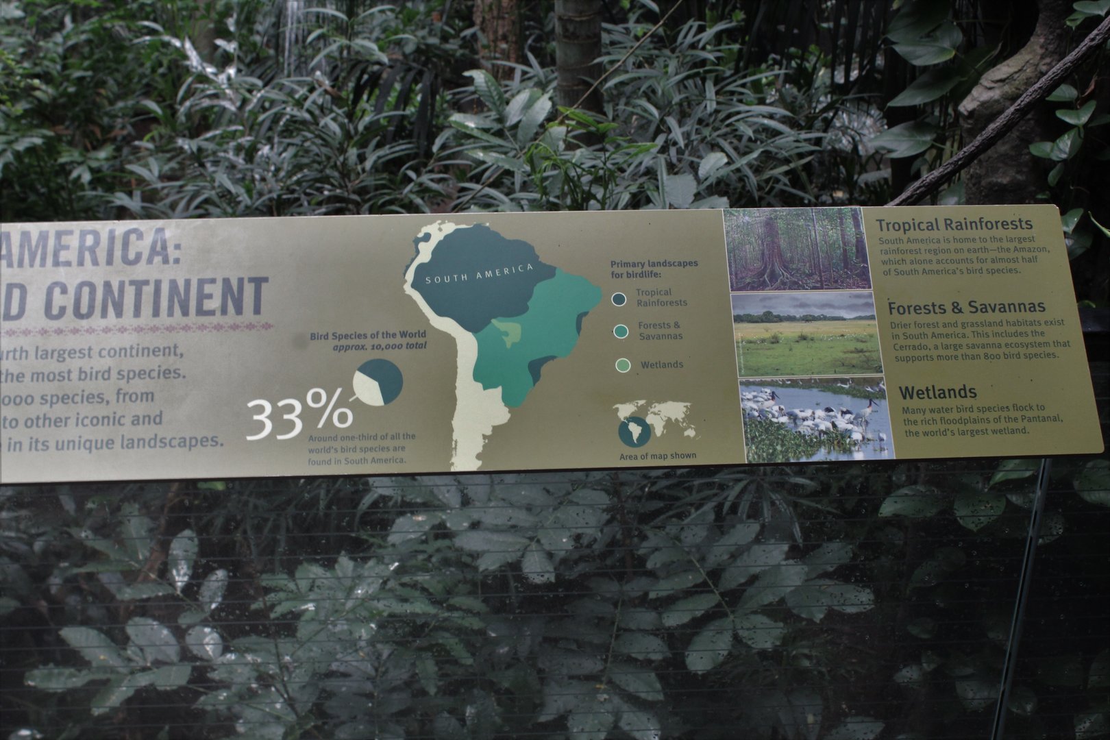 WOB 50th - Tropical American Forest Signage Part 1