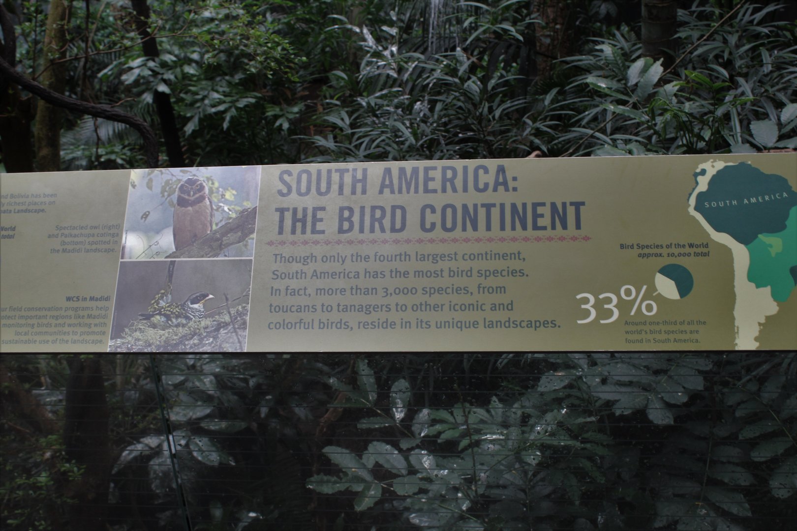 WOB 50th - Tropical American Forest Signage Part 2