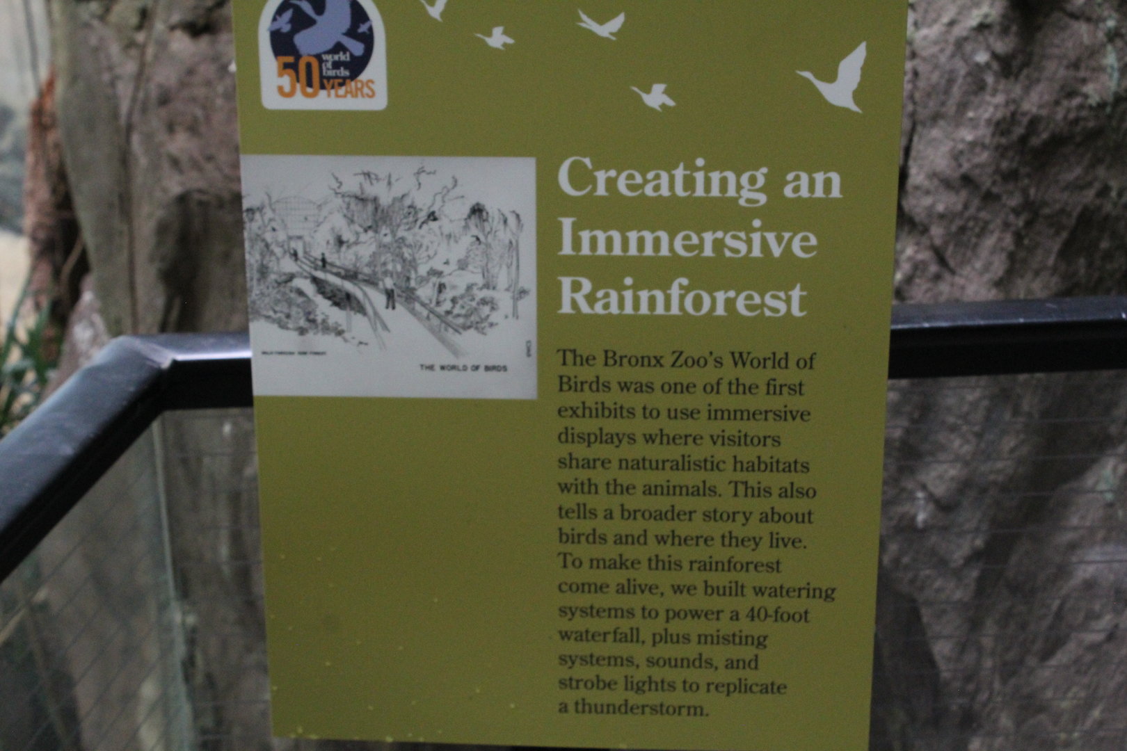 WOB 50th - Walkthrough Design Signage