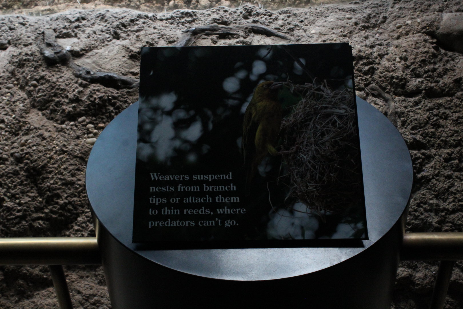 WOB 50th - Weaver Signage