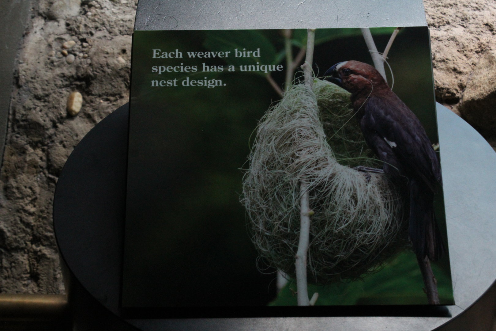 WOB 50th - Weaver Signage