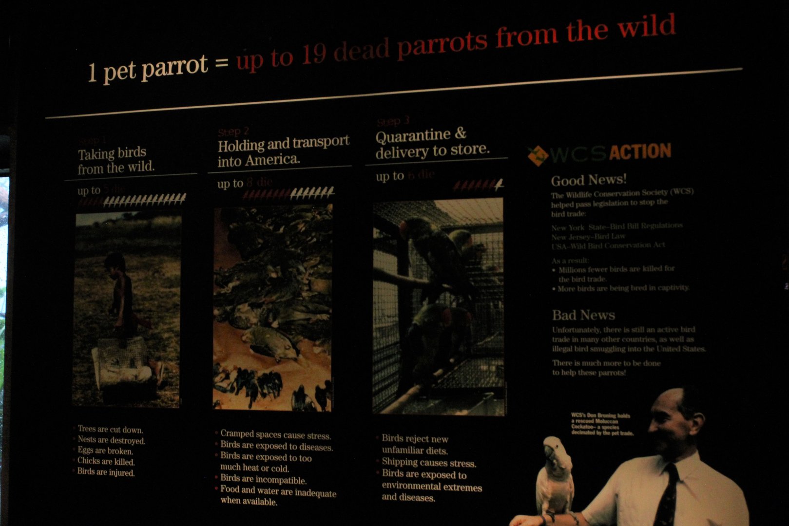 WOB 50th - Wildlfie Trade Signage