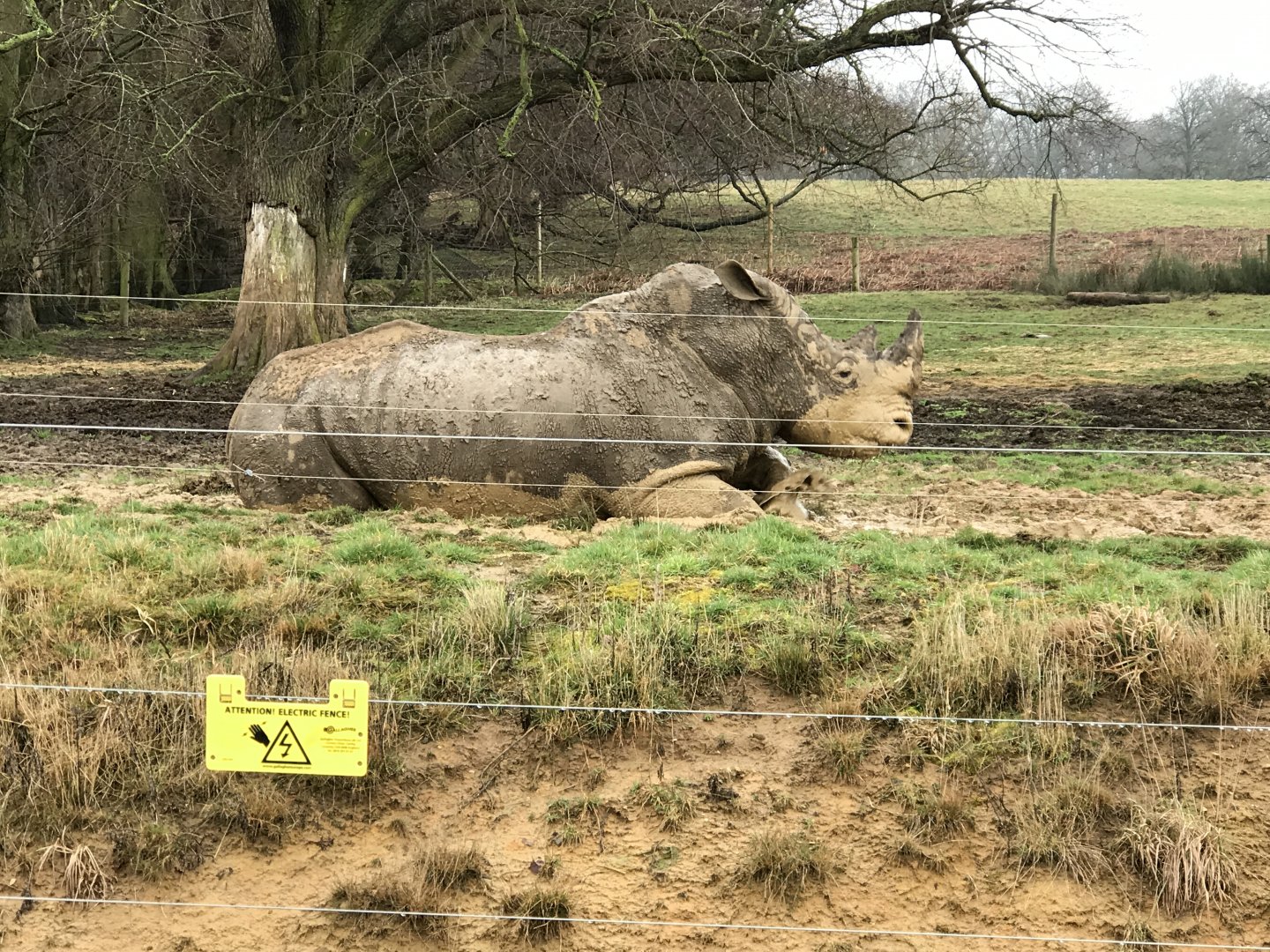 Woburn Safari Park 12/3/17