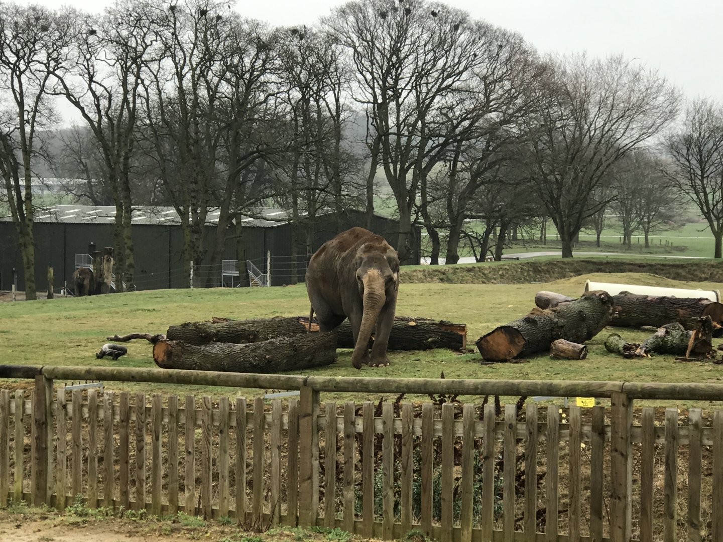 Woburn Safari Park 12/3/17