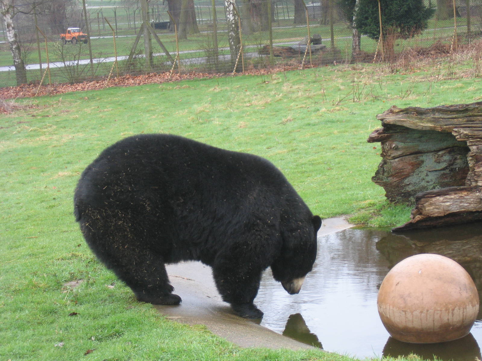 Woburn Safari Park 2009-2010