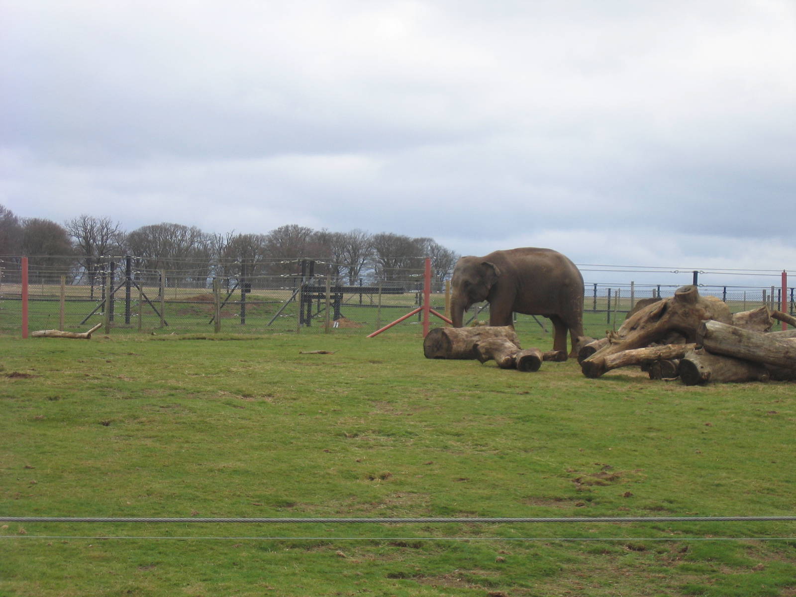 Woburn Safari Park 2009-2010