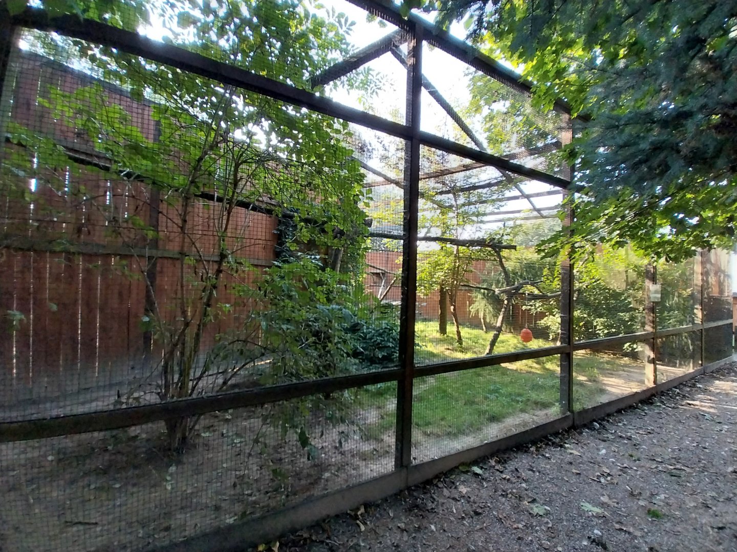 Wojciechow Zoo - Caracal enclosure