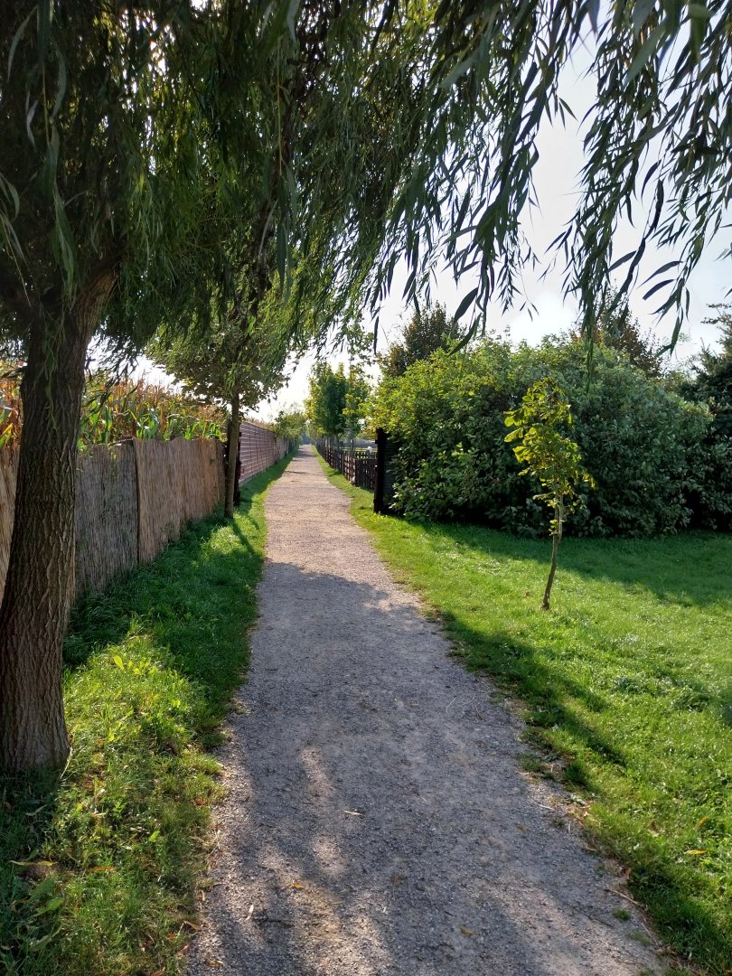 Wojciechow Zoo - General view